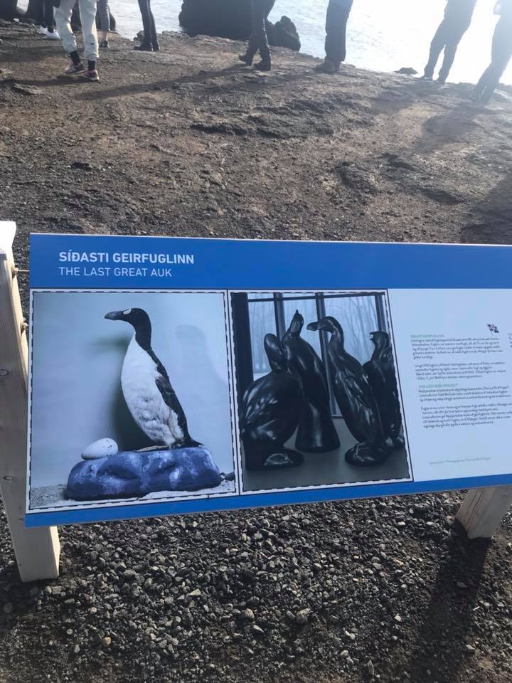 41968591_10217263564410126_3078555072267812864_n