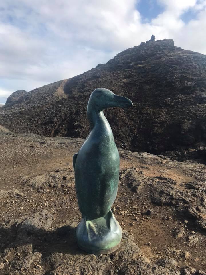 42059529_10217263557329949_604291161128960000_n