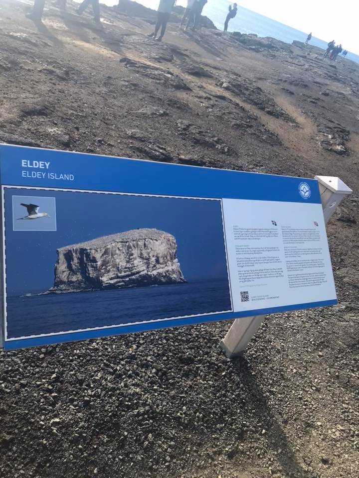 42094456_10217263558489978_4156205866262986752_n